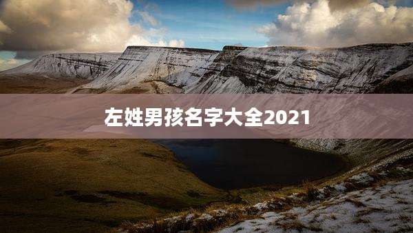 左姓男孩名字大全2021