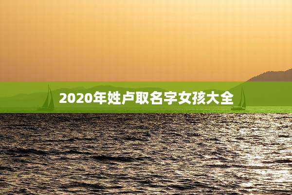 2020年姓卢取名字女孩大全