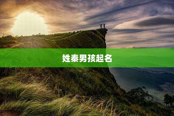 姓秦男孩起名