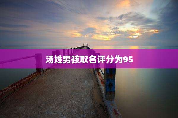 汤姓男孩取名评分为95