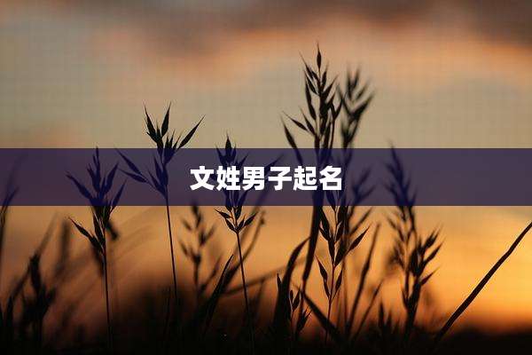 文姓男子起名