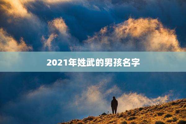 2021年姓武的男孩名字