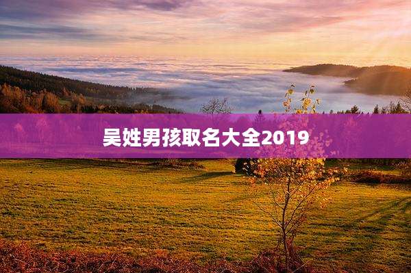 吴姓男孩取名大全2019