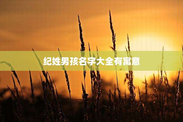 纪姓男孩名字大全有寓意