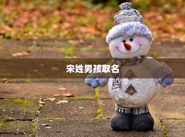 宋姓男孩取名