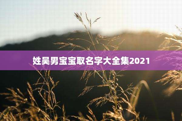 姓吴男宝宝取名字大全集2021