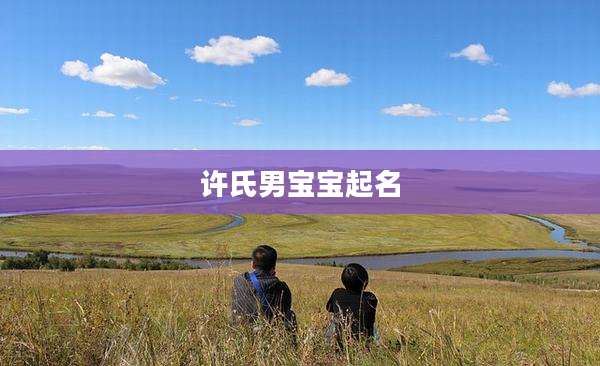 许氏男宝宝起名