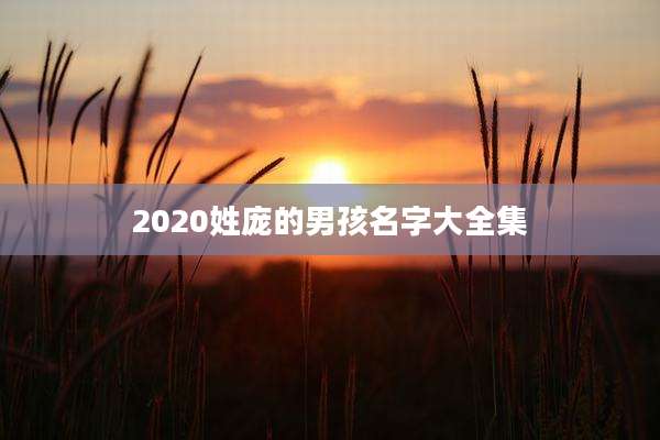 2020姓庞的男孩名字大全集