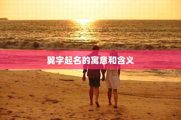 翼字起名的寓意和含义