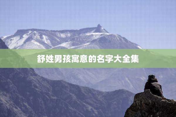 舒姓男孩寓意的名字大全集