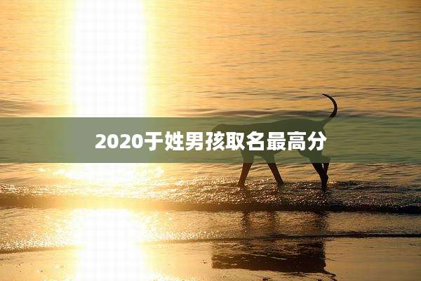 2020于姓男孩取名最高分