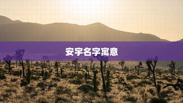 安宇名字寓意