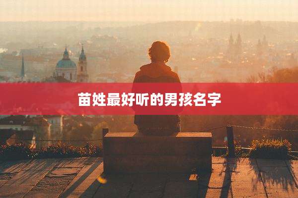 苗姓最好听的男孩名字