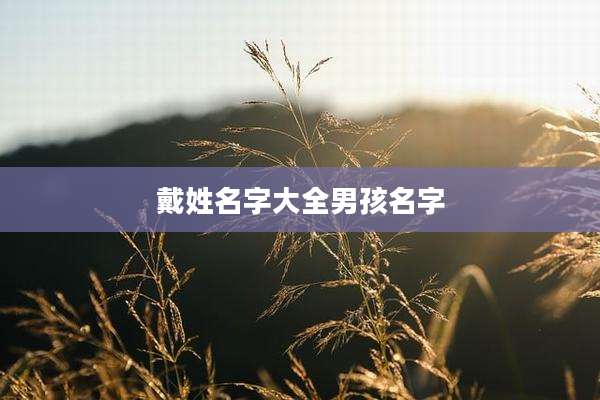 戴姓名字大全男孩名字