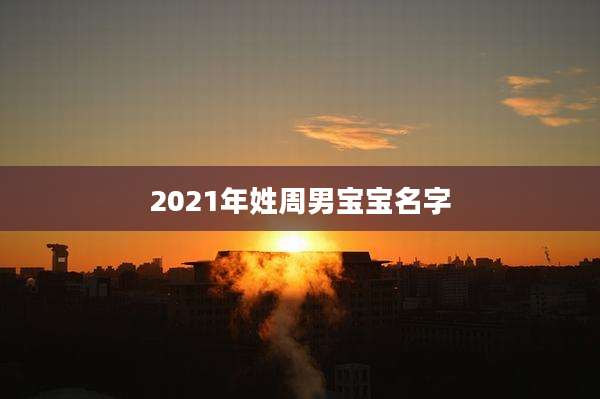 2021年姓周男宝宝名字
