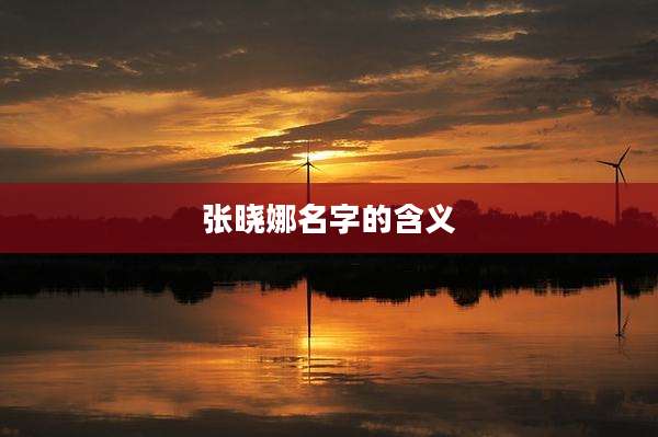 张晓娜名字的含义