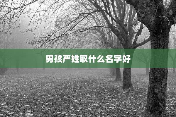 男孩严姓取什么名字好
