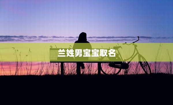 兰姓男宝宝取名