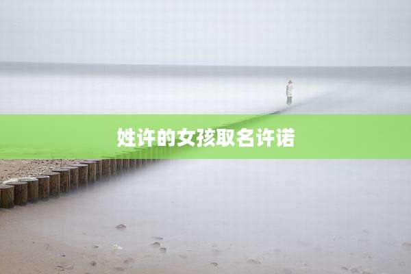 姓许的女孩取名许诺