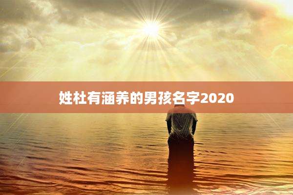 姓杜有涵养的男孩名字2020