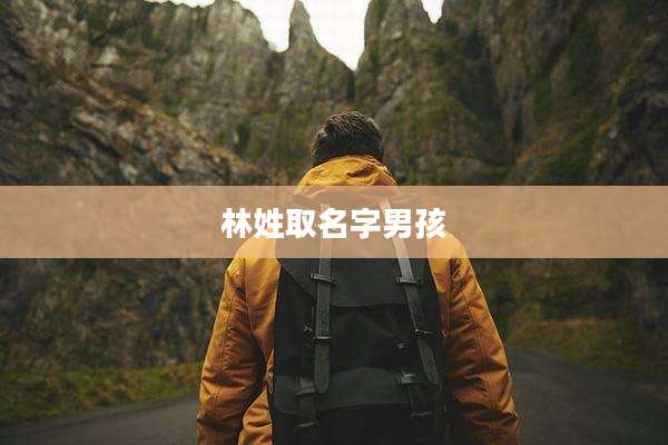 林姓取名字男孩