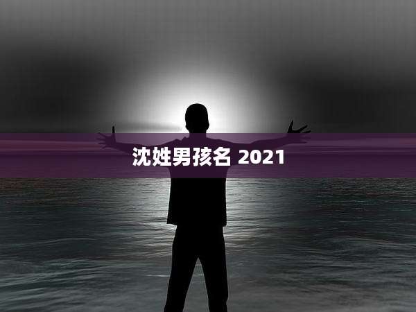 沈姓男孩名 2021