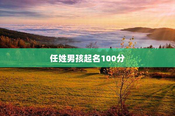 任姓男孩起名100分