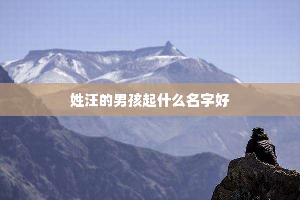 姓汪的男孩起什么名字好