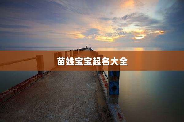 苗姓宝宝起名大全