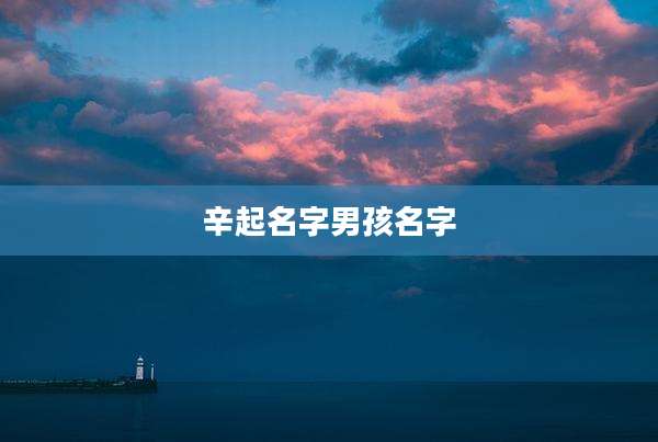 辛起名字男孩名字