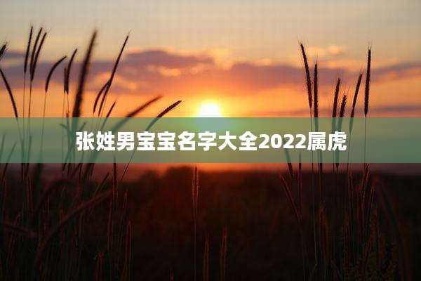 张姓男宝宝名字大全2022属虎
