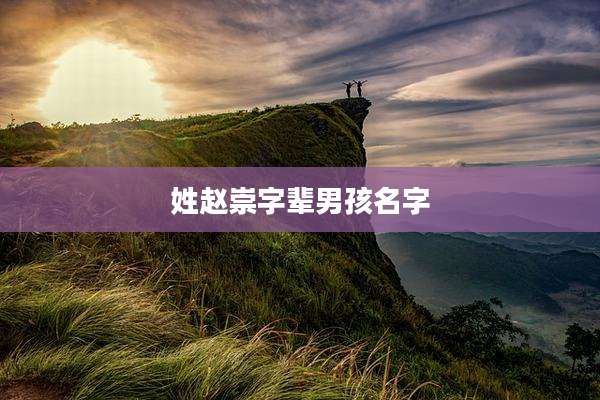 姓赵崇字辈男孩名字