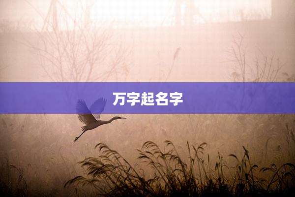 万字起名字