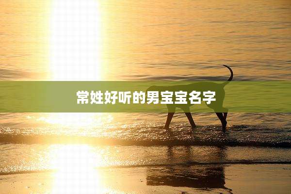 常姓好听的男宝宝名字