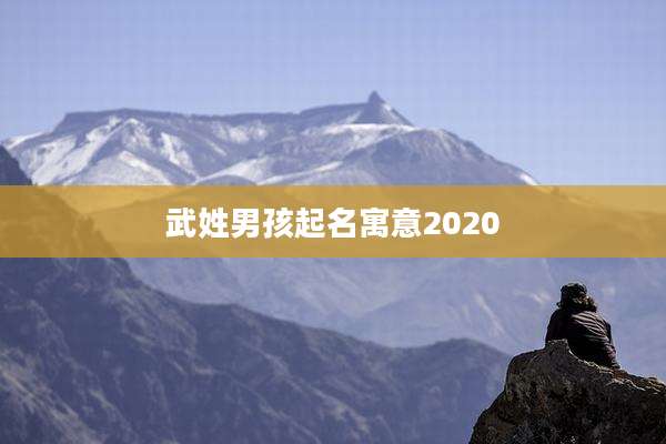 武姓男孩起名寓意2020
