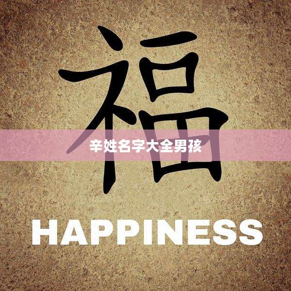 辛姓名字大全男孩