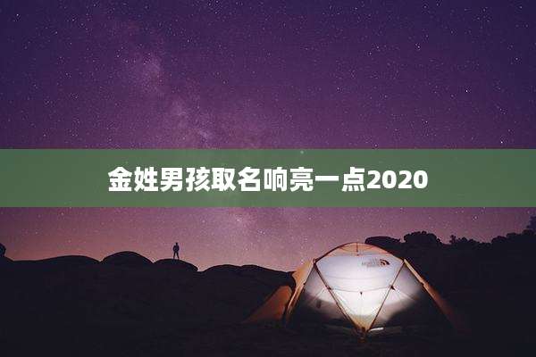 金姓男孩取名响亮一点2020