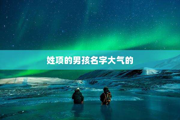 姓项的男孩名字大气的