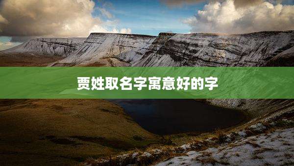 贾姓取名字寓意好的字