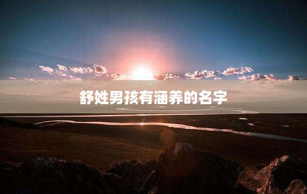 舒姓男孩有涵养的名字