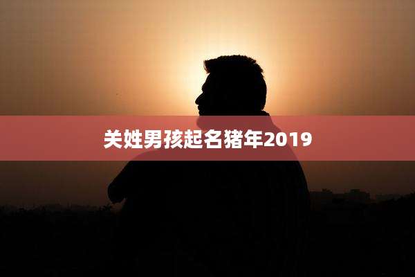 关姓男孩起名猪年2019