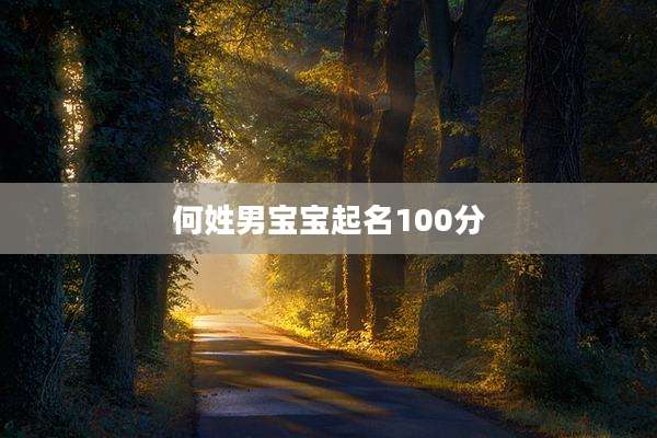 何姓男宝宝起名100分