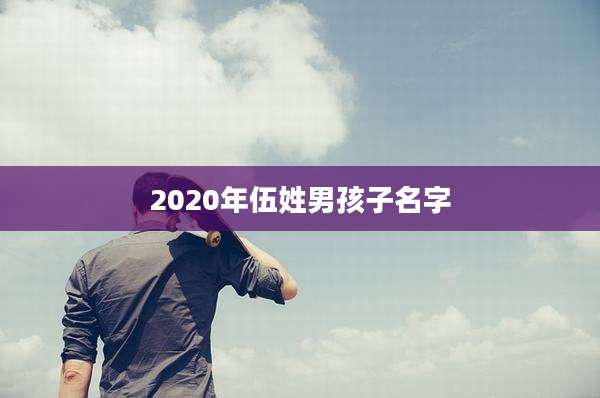 2020年伍姓男孩子名字