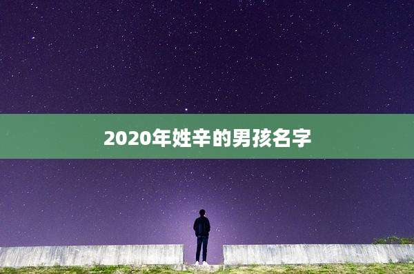 2020年姓辛的男孩名字