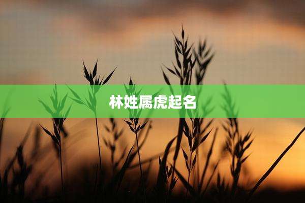 林姓属虎起名