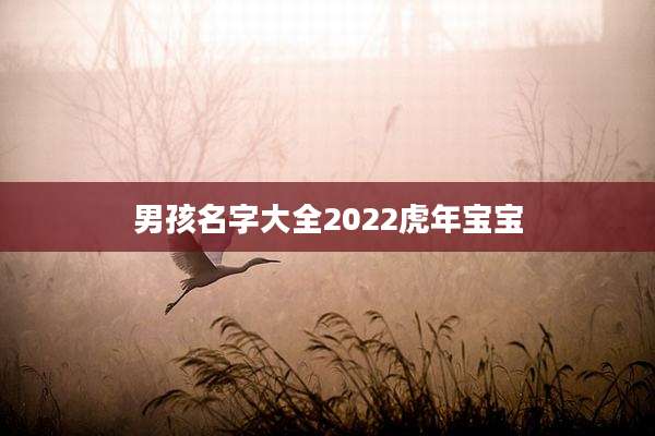 男孩名字大全2022虎年宝宝