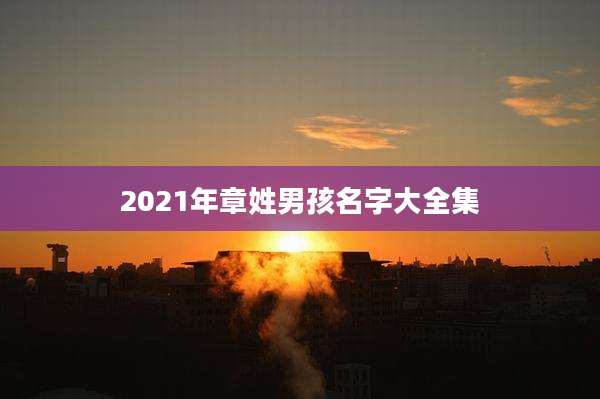 2021年章姓男孩名字大全集