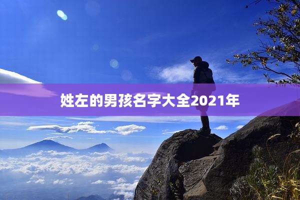 姓左的男孩名字大全2021年