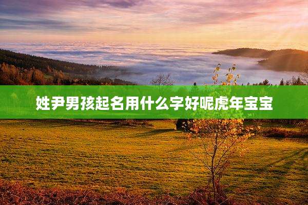 姓尹男孩起名用什么字好呢虎年宝宝