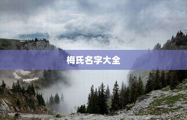 梅氏名字大全
